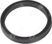 Ibras 27590 - Seal, coolant pipe car-mod.net