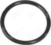 Ibras 27591 - Seal, coolant pipe car-mod.net
