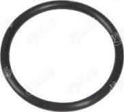 Ibras 27325 - Seal, coolant pipe car-mod.net