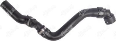 Ibras 27243 - Radiator Hose car-mod.net