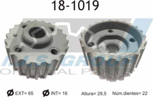 IJS GROUP 18-1019 - Crankshaft Gear car-mod.net