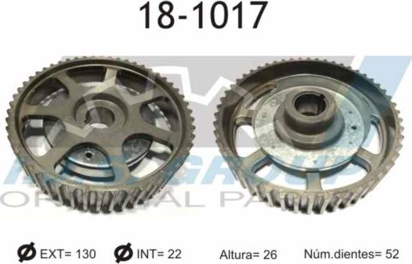 IJS GROUP 18-1017 - Gear, camshaft car-mod.net