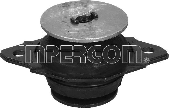 IMPERGOM 32250 - Holder, engine mounting car-mod.net