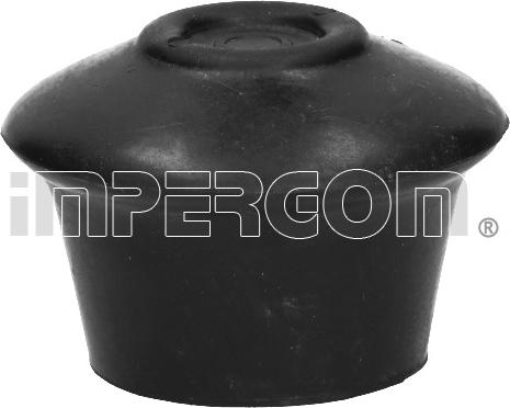 IMPERGOM 32209 - Holder, engine mounting car-mod.net