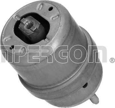 IMPERGOM 37565 - Holder, engine mounting car-mod.net