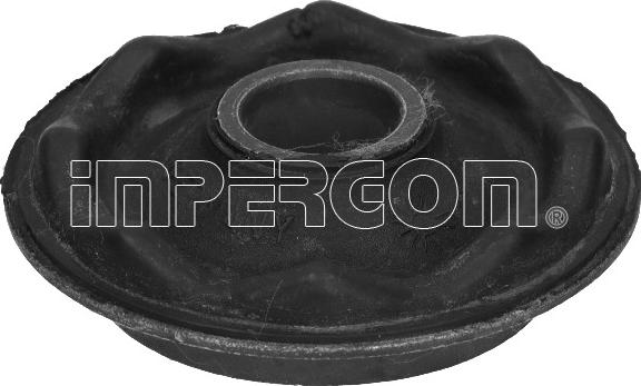IMPERGOM 2010 - Bush of Control / Trailing Arm car-mod.net