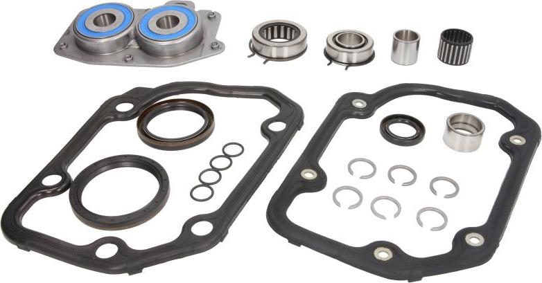 INA 462 0055 10 - Repair Kit, manual transmission car-mod.net