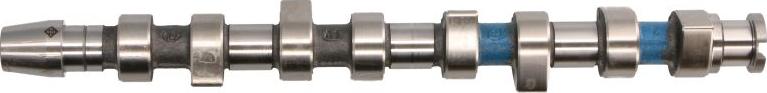 INA 428 0062 10 - Camshaft car-mod.net