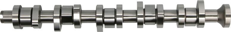 INA 428 0111 10 - Camshaft car-mod.net