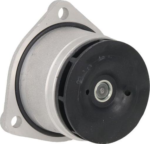 INA 538 0316 10 - Water Pump car-mod.net