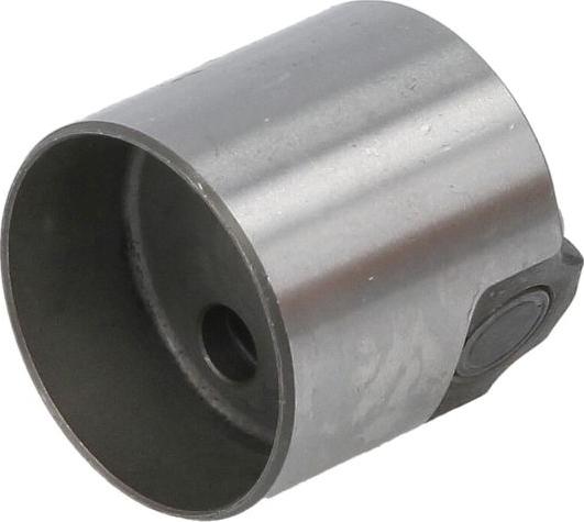 INA 711 0244 10 - Plunger, high pressure pump car-mod.net