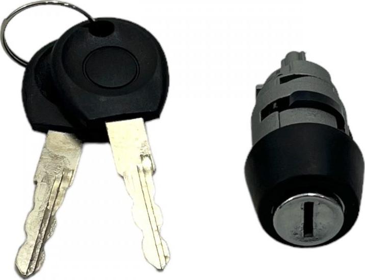 INA-FOR INF10.0904 - Lock Cylinder car-mod.net