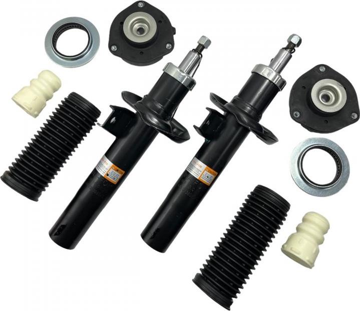 INA-FOR INF10.0035KIT - Shock Absorber car-mod.net