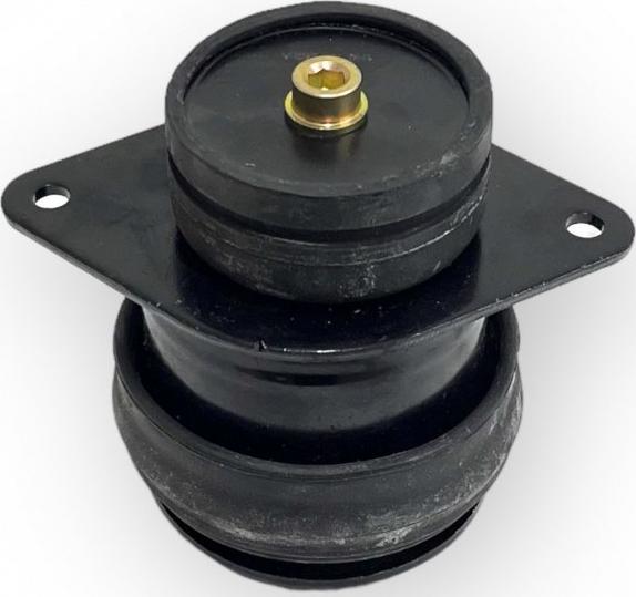 INA-FOR INF10.0343 - Holder, engine mounting car-mod.net