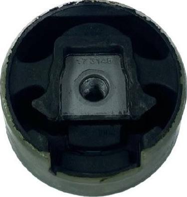 INA-FOR INF10.0359 - Holder, engine mounting car-mod.net