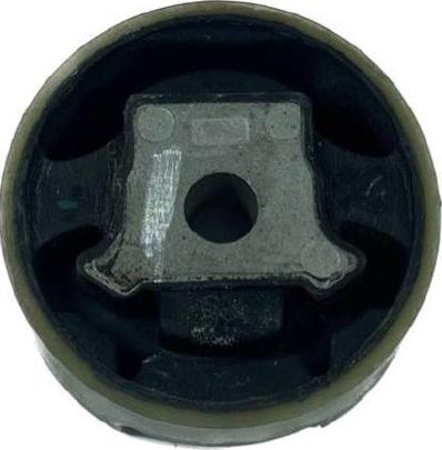 INA-FOR INF10.0360 - Holder, engine mounting car-mod.net