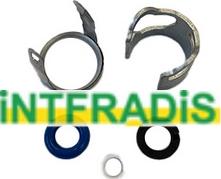 INTFRADIS 24007 - Seal Kit, injector nozzle car-mod.net