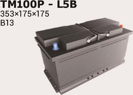 IPSA TM100P - Starter Battery car-mod.net