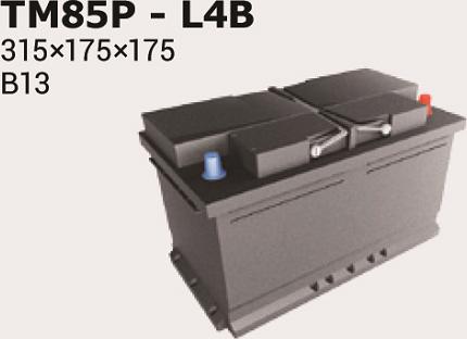 IPSA TM85P - Starter Battery car-mod.net