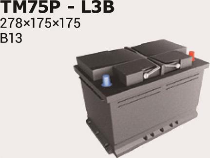 IPSA TM75P - Starter Battery car-mod.net
