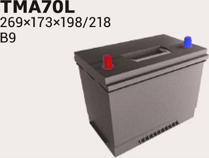 IPSA TMA70L - Starter Battery car-mod.net