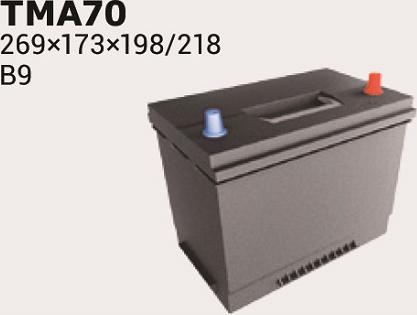 IPSA TMA70 - Starter Battery car-mod.net