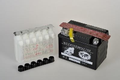 IPSA TMBA50411 - Starter Battery car-mod.net