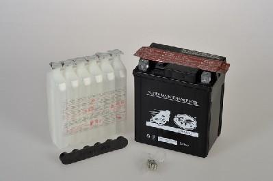 IPSA TMBA50614 - Starter Battery car-mod.net