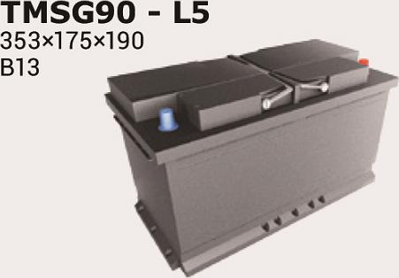 IPSA TMSG90 - Starter Battery car-mod.net