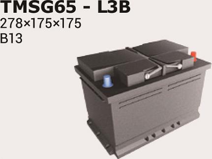 IPSA TMSG65 - Starter Battery car-mod.net