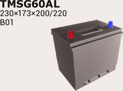 IPSA TMSG60AL - Starter Battery car-mod.net