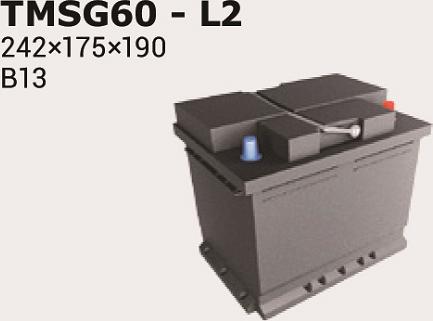 IPSA TMSG60 - Starter Battery car-mod.net