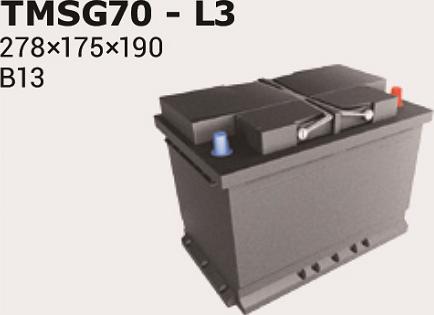 IPSA TMSG70 - Starter Battery car-mod.net