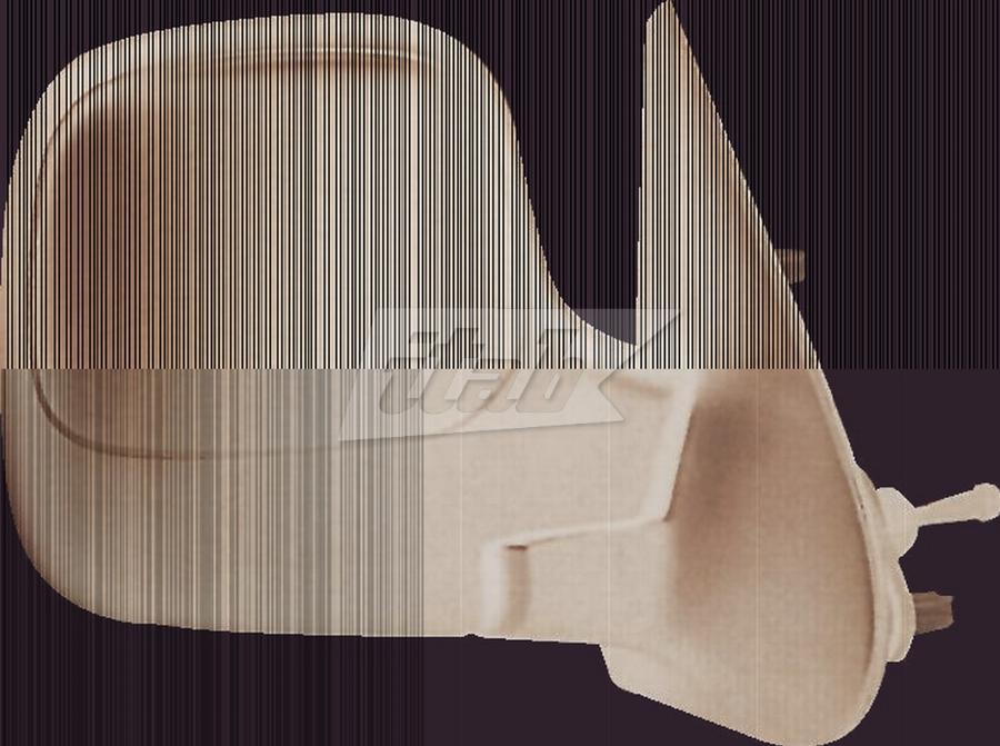 CARRO 026207483 - Outside Mirror car-mod.net