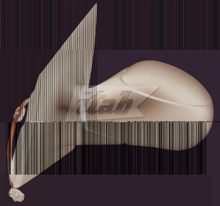 CARRO 014007504 - Outside Mirror car-mod.net