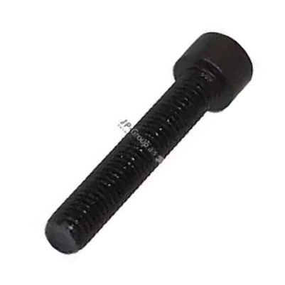 JP Group 1144000700 - Bolt, propshaft flange car-mod.net