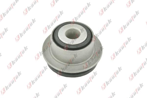 Kautek VW-BS160 - Bearing, wheel bearing housing car-mod.net