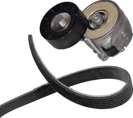 Kavo Parts DKM-8501 - V-Belt Set car-mod.net