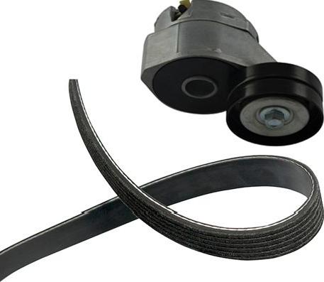 Kavo Parts DKM-2001 - V-Belt Set car-mod.net