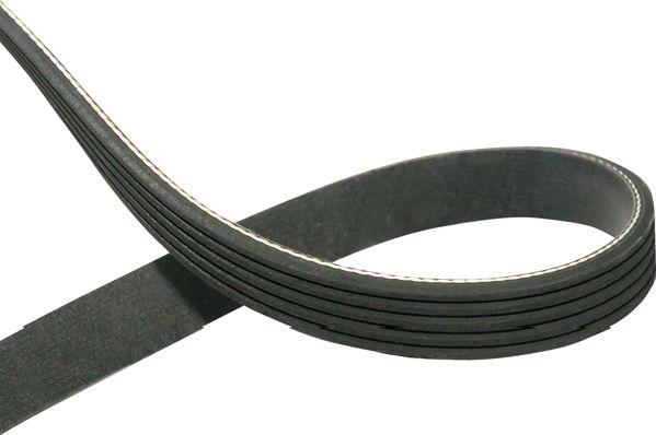 Kavo Parts DMV-5540 - V-Ribbed Belt car-mod.net