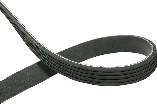 Kavo Parts DMV-1017 - V-Ribbed Belt car-mod.net