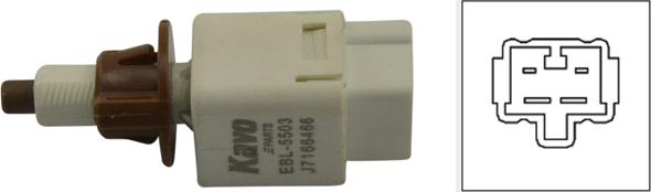 Kavo Parts EBL-5503 - Brake Light Switch / Clutch car-mod.net