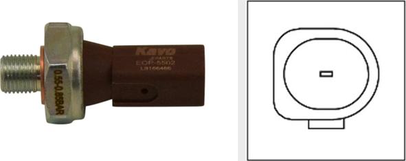 Kavo Parts EOP-5502 - Sender Unit, oil pressure car-mod.net