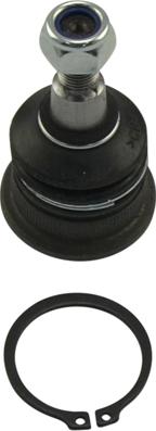 Kavo Parts SBJ-3035 - Ball Joint car-mod.net