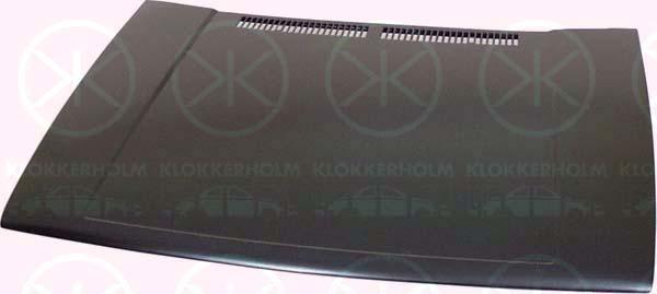 Klokkerholm 9521281 - Bonnet, hood car-mod.net