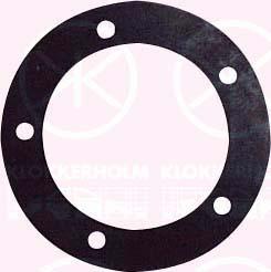 Klokkerholm 50990096 - Seal, fuel sender unit car-mod.net