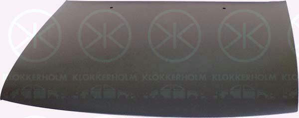 Klokkerholm 5050280 - Bonnet, hood car-mod.net