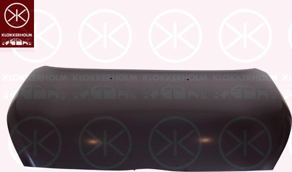 CARRO 557000070 - Bonnet, hood car-mod.net