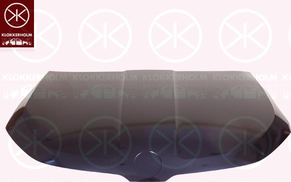 CARRO 754000075 - Bonnet, hood car-mod.net