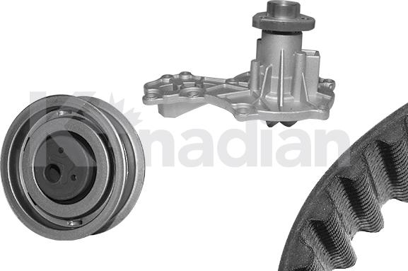K'nadian KWP017 - Water Pump & Timing Belt Set car-mod.net